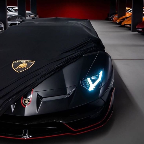 LAMBORGHINI AVENTADOR LP750-4 (2015-2017) Indoor Car Cover
